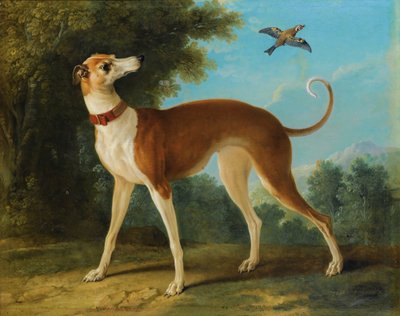 Greyhound in a Landscape by Jean Baptiste Oudry